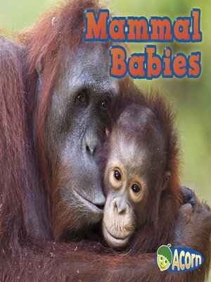 cover image of Mammal Babies